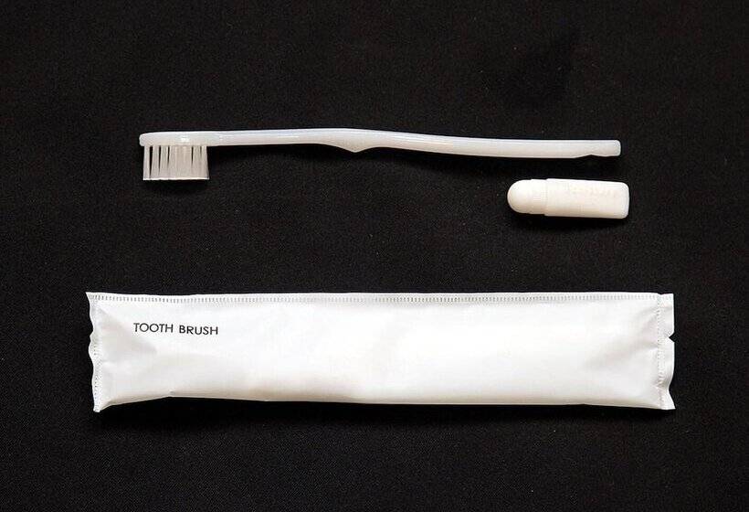 Smile Hotel Fukuoka Okawa