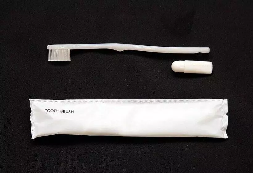 Smile Hotel Fukuoka Okawa