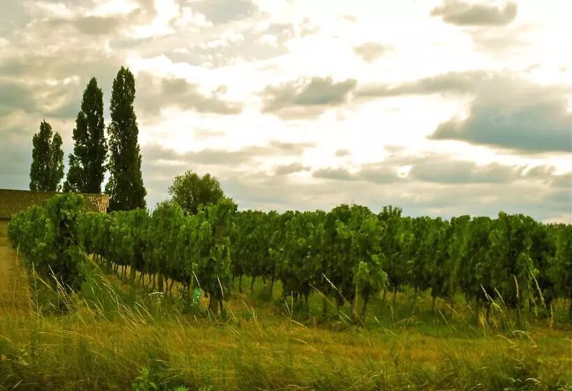 Aamiaismajoitus (B&B) Chambres D Hôtes Rouge Bordeaux
