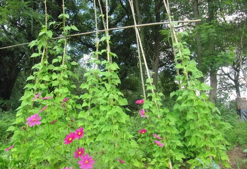 Aamiaismajoitus (B&B) Les Gourmandises Bio