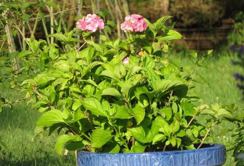 Aamiaismajoitus (B&B) Les Gourmandises Bio