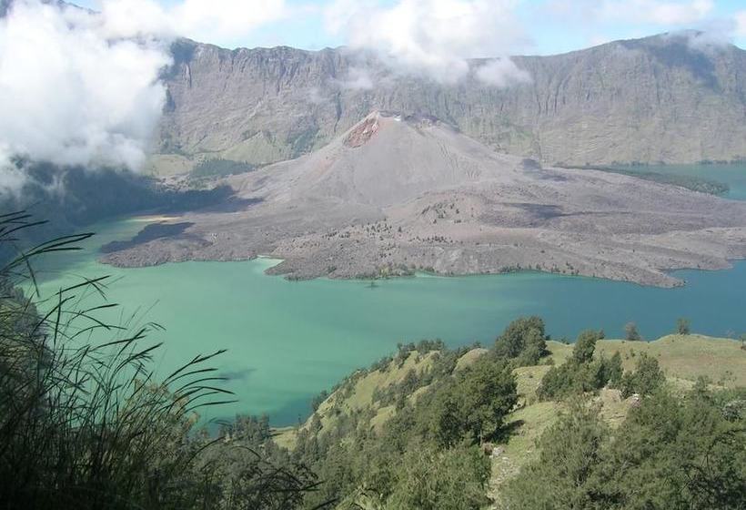 Bed and Breakfast Rinjani Inn