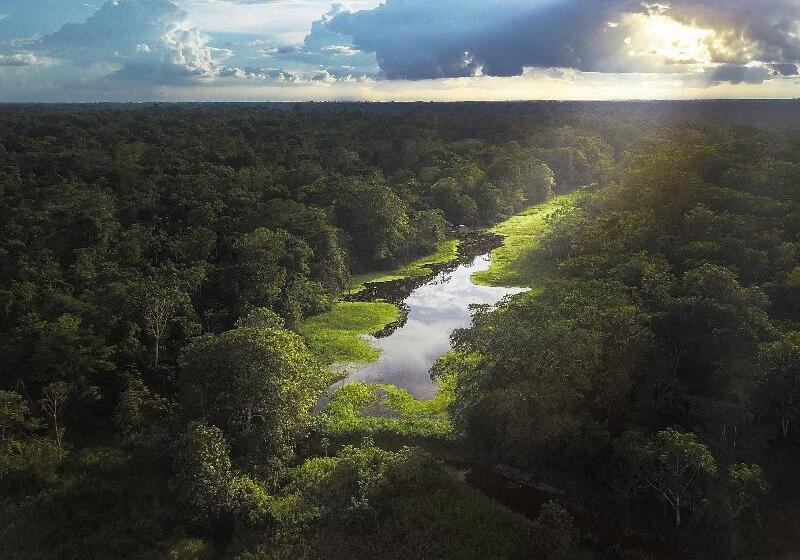 Hotel Amak Iquitos Ecolodge All Inclusive