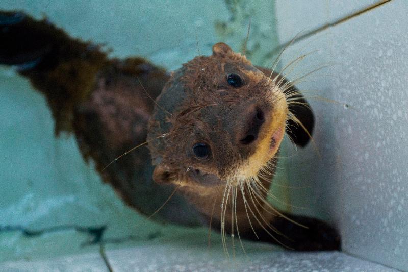 Hotel Amak Iquitos Ecolodge All Inclusive