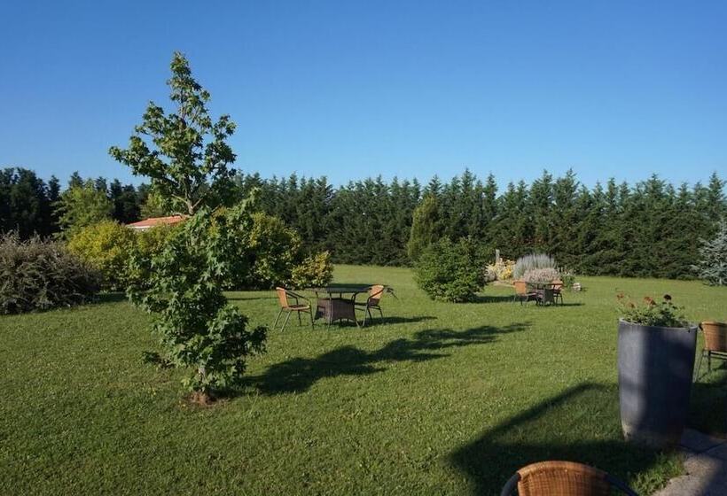 Отель Artémis Hôtel & Spa Bistro Coquet