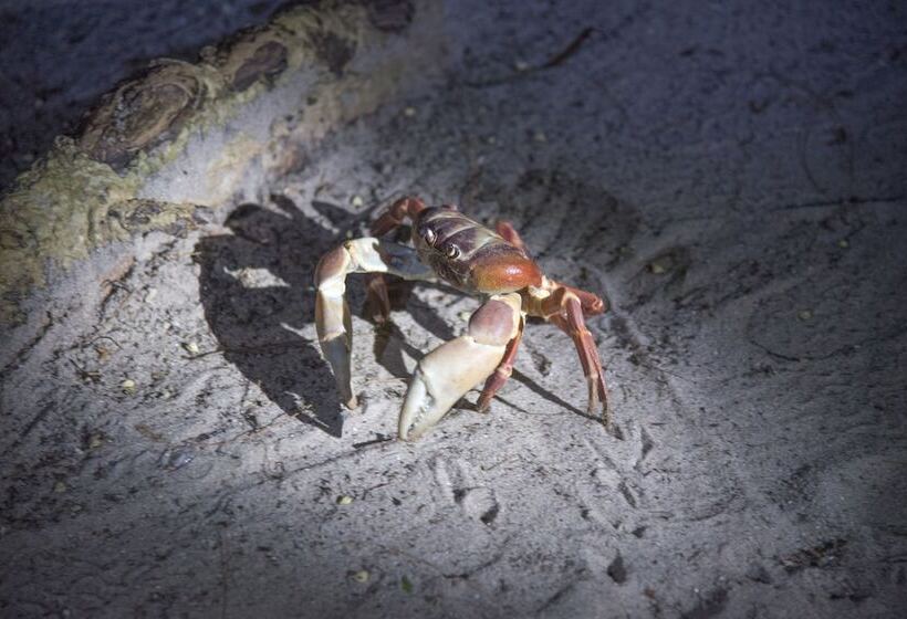 호텔 Laoliang Beach