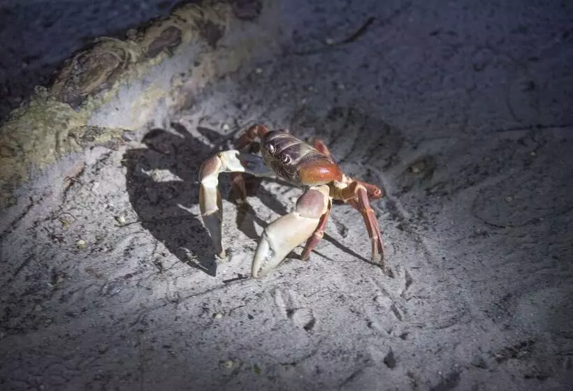 Hotelli Laoliang Beach