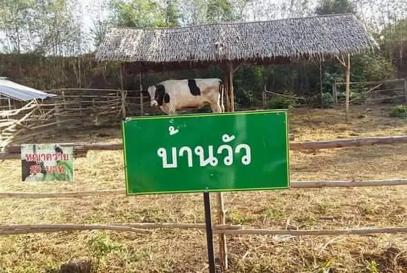 Hotelli River & Flowers Resort