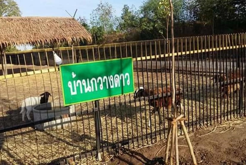 호텔 River & Flowers Resort