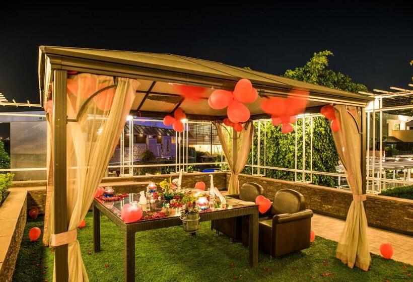 בית מלון כפרי The Red Maple Mashal