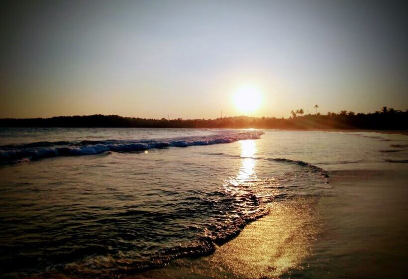 بنسيون Paradise Beach House