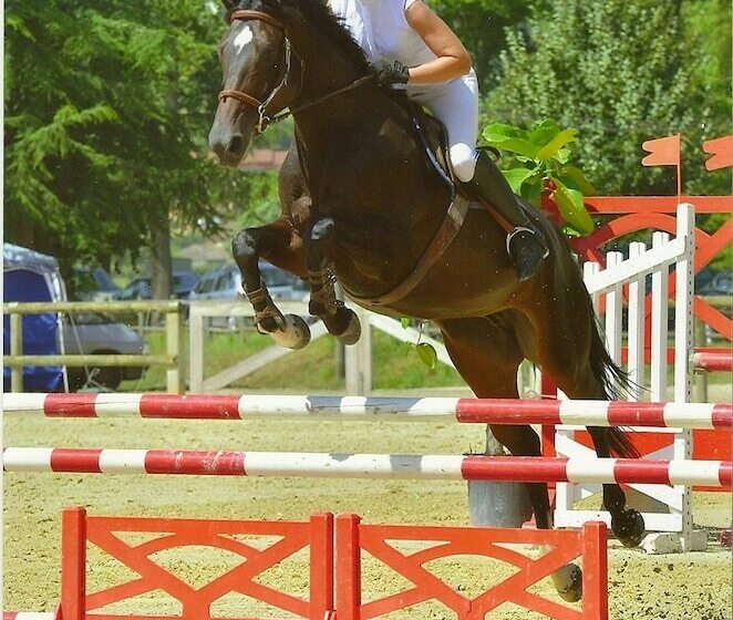 Bed and Breakfast Chambres D Hôtes Equinoxe