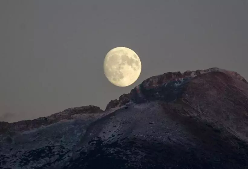 ホテル Albergo Al Sole