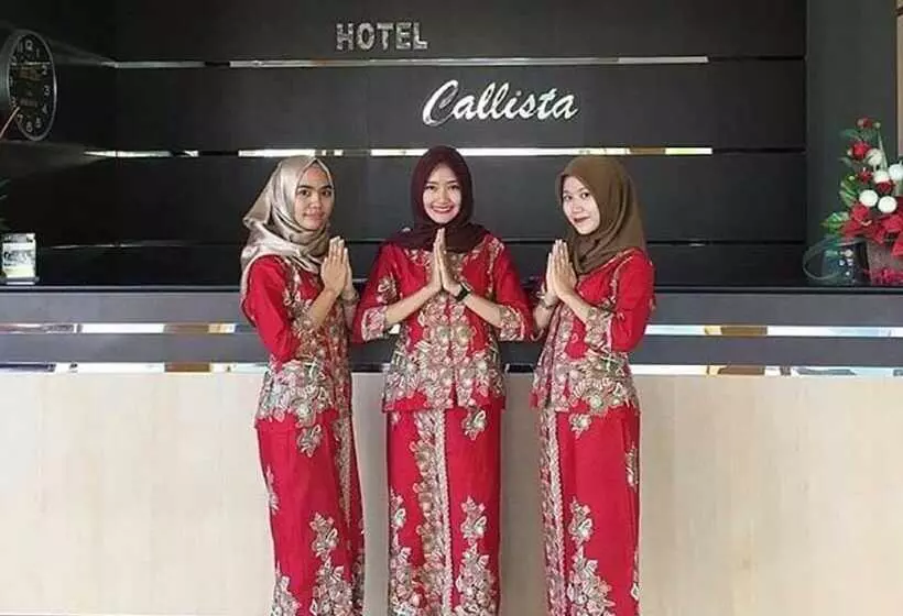 ホテル Callista Lahat