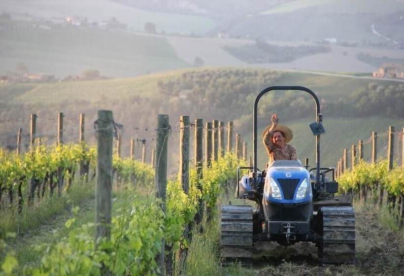乡村酒店  Agriturismo San Michele