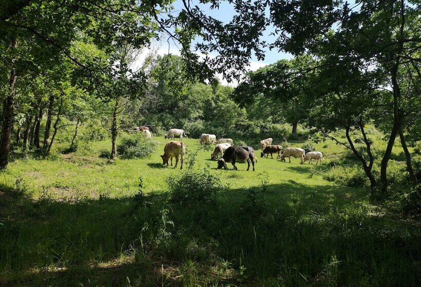 בית מלון כפרי Agriturismo Terra Nostra