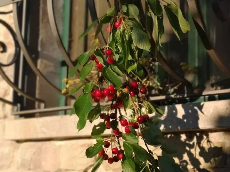 Maaseutuhotelli Agriturismo Terra Nostra