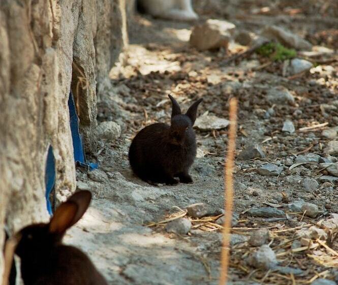 בית מלון כפרי La Gioiosa Agriturismo