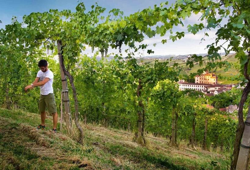 בית מלון כפרי Risveglio In Langa