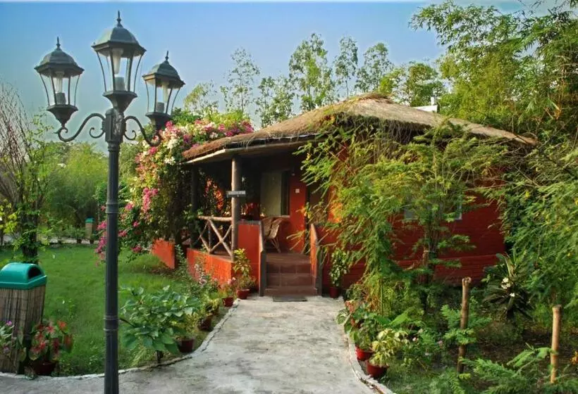 ホテル Sunderban Tiger Camp