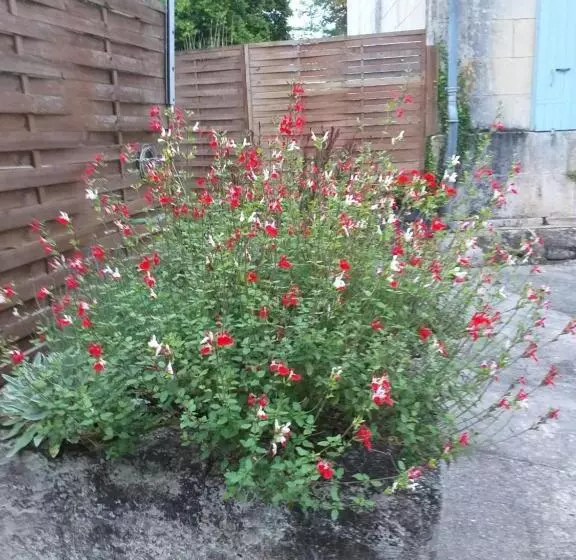 Les Demeures De La Laigne