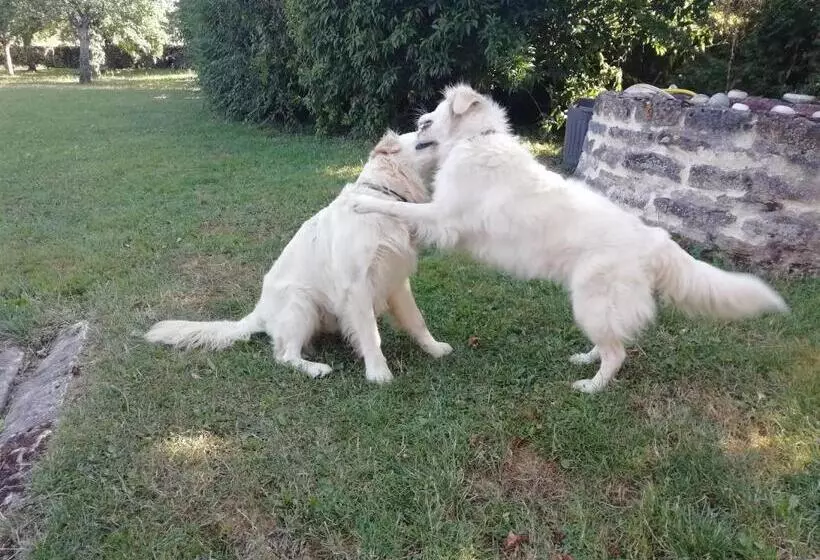 Majatalo Au Verger De Marcilly