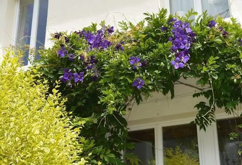 B&b St Emilion Braz
