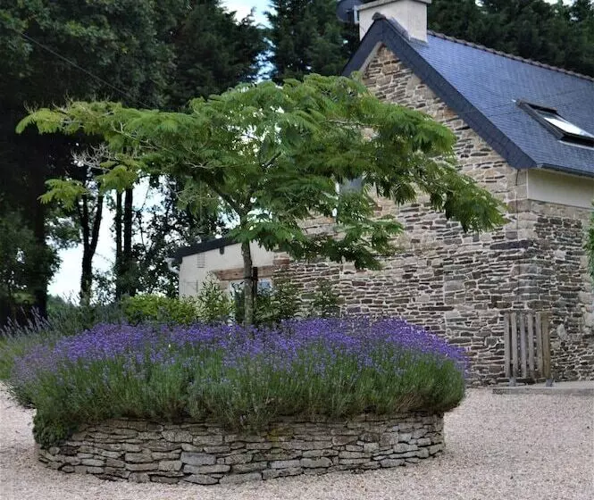 B&b St Emilion Braz