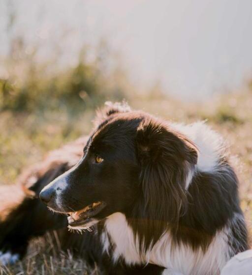 צימר Domaine Bellevie Bnb