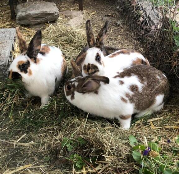 צימר Domaine Bellevie Bnb