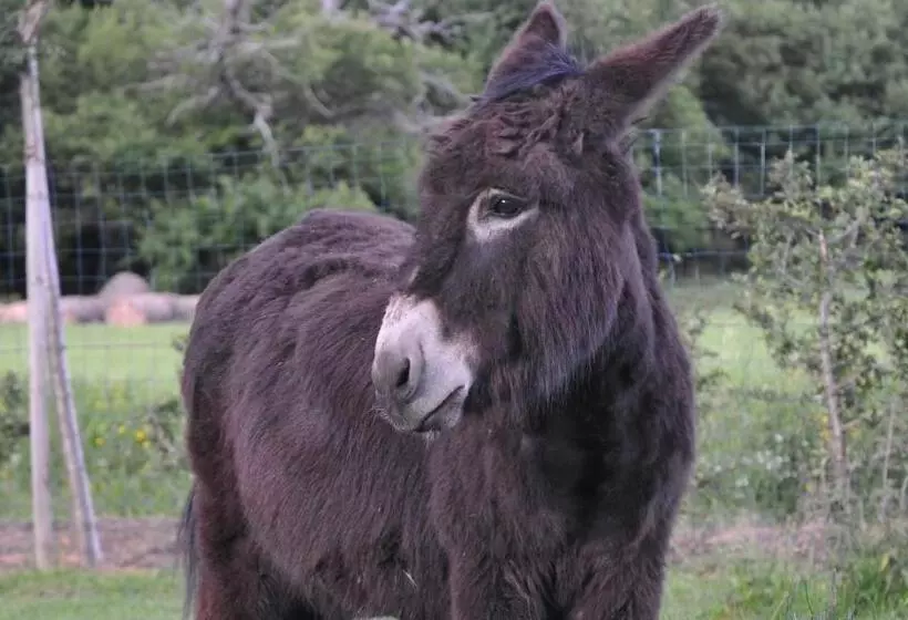Aamiaismajoitus (B&B) Domaine Du Mont Monnet   Chambre D Hôtes & Gîte