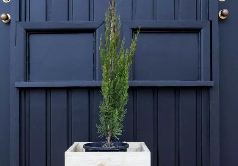 Fox On The Run  Motel Kilmore