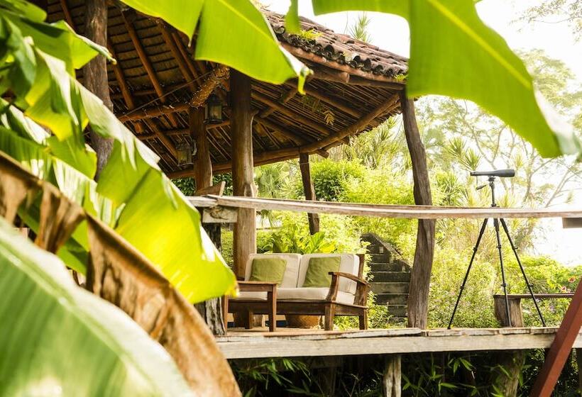 فندق فئة نجمة واحدة Cristal Azul