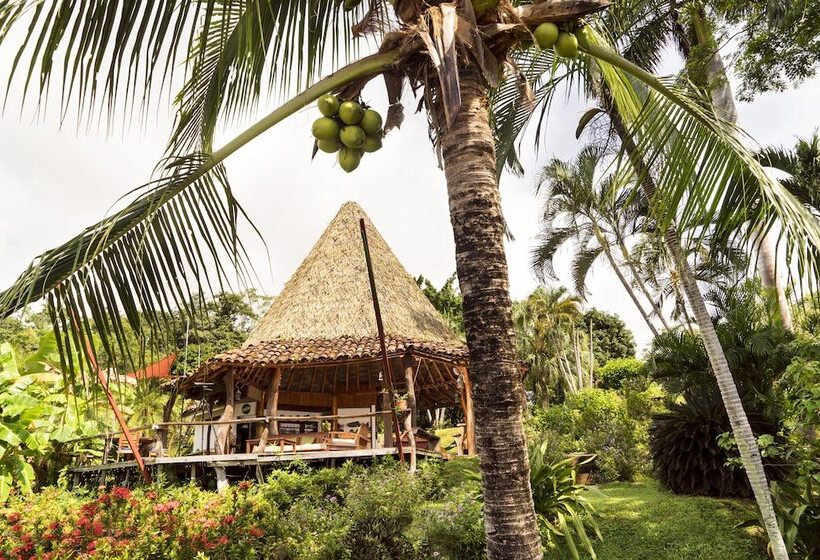 فندق فئة نجمة واحدة Cristal Azul