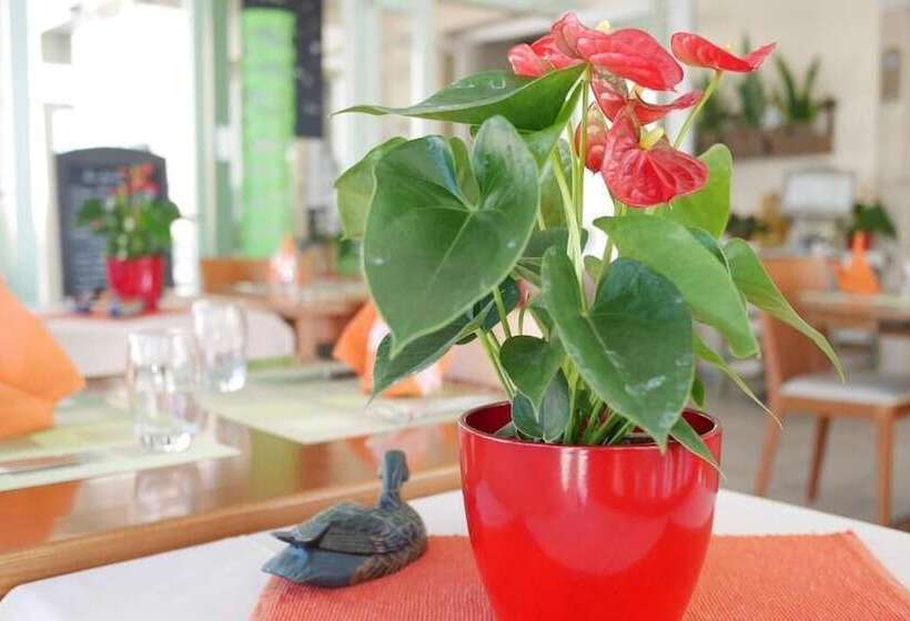 Hotel Auberge Aux Deux Sapins