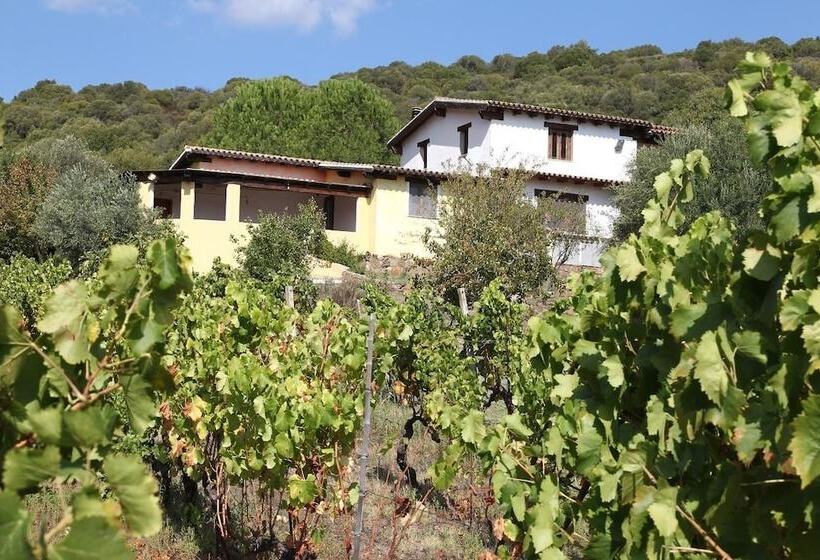 בית מלון כפרי Agriturismo B&b Sa Inza