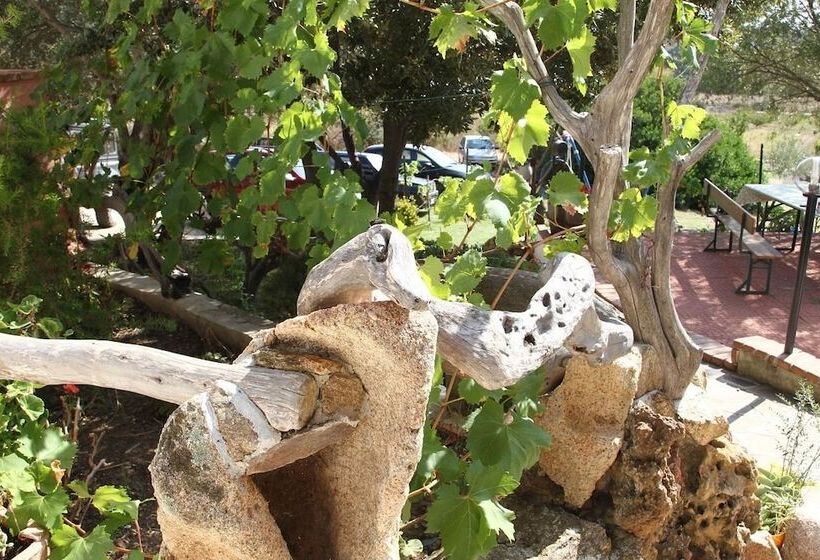 בית מלון כפרי Agriturismo B&b Sa Inza