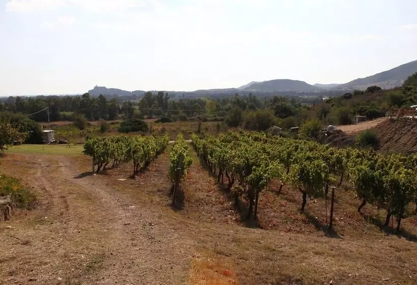 田舎風ホテル Agriturismo B&b Sa Inza