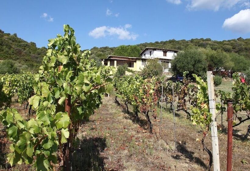 בית מלון כפרי Agriturismo B&b Sa Inza