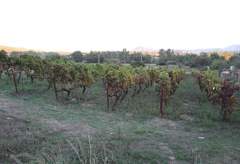 בית מלון כפרי Agriturismo B&b Sa Inza