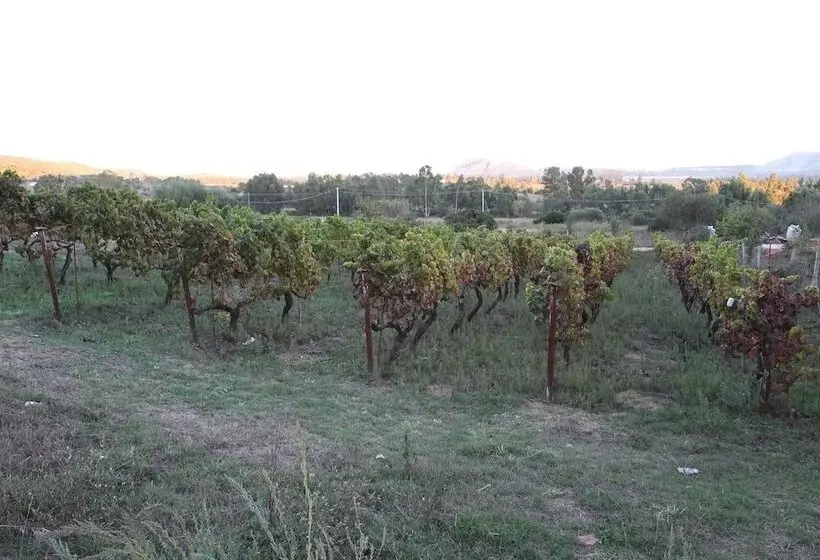 田舎風ホテル Agriturismo B&b Sa Inza