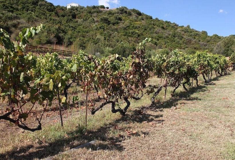 בית מלון כפרי Agriturismo B&b Sa Inza