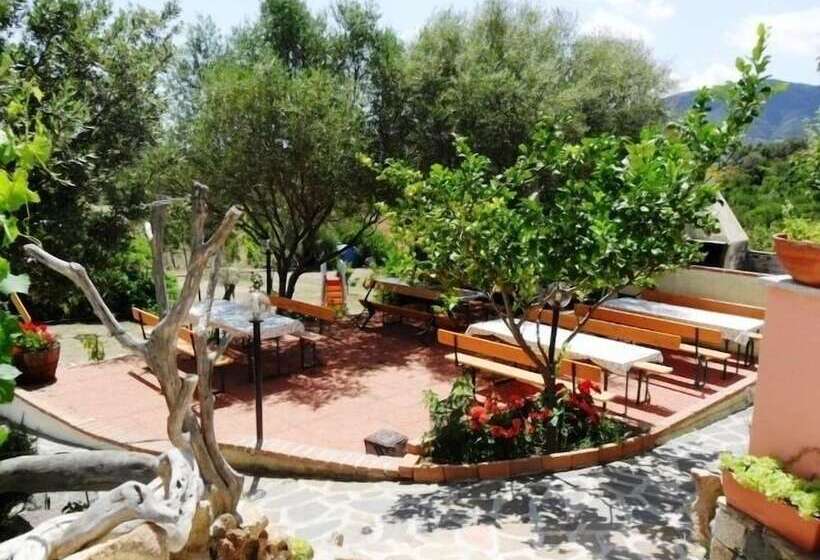 בית מלון כפרי Agriturismo B&b Sa Inza