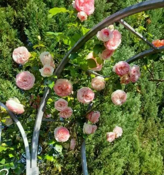 Majatalo Domaine De Lardoisière
