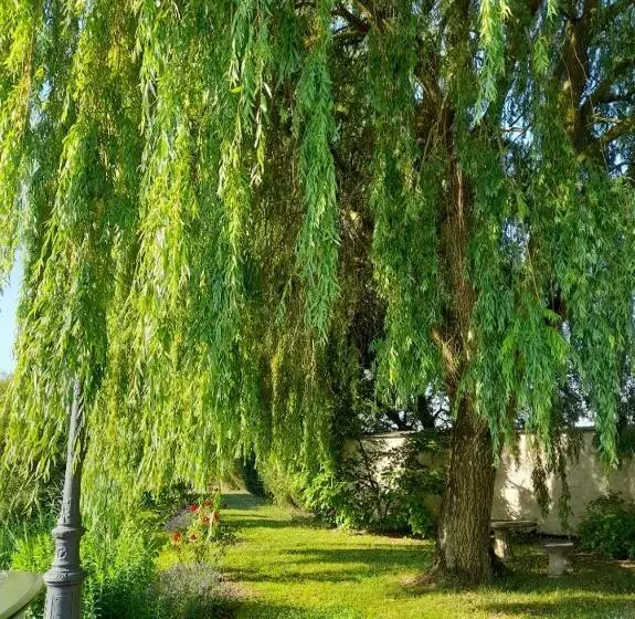Majatalo Domaine De Lardoisière