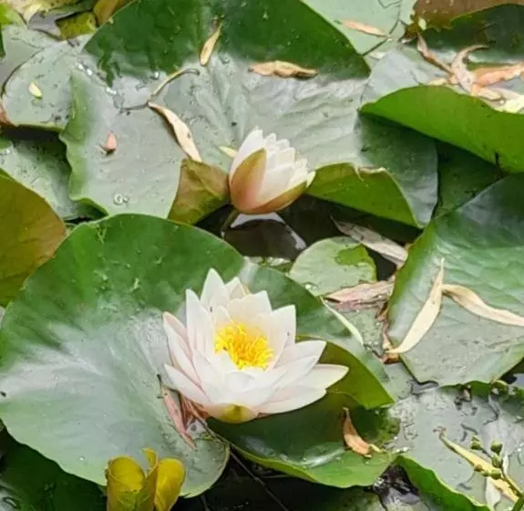 Majatalo Domaine De Lardoisière