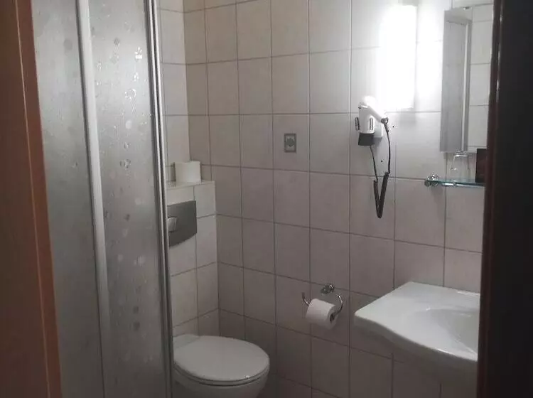 Majatalo Gasthof Zum Goldenen Löwen