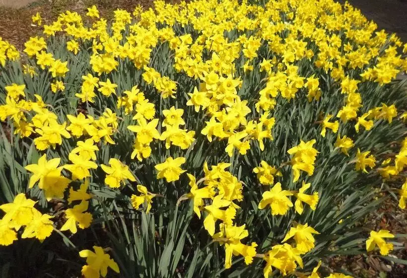 Majatalo Gästezimmer Brackel