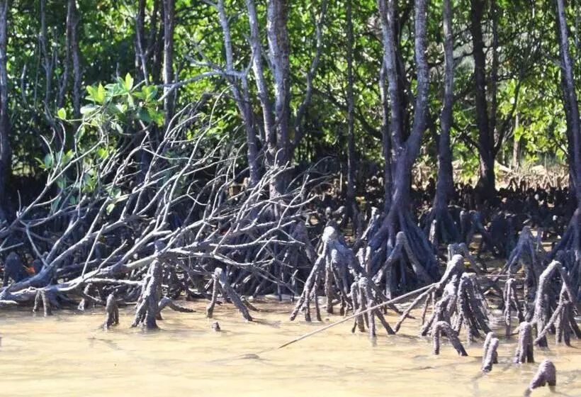 ペンション Nature Miraikan