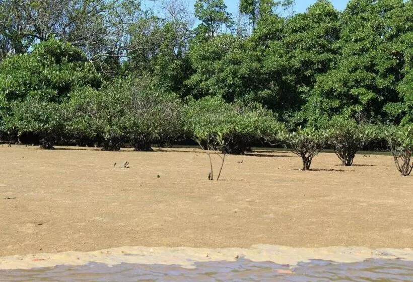 ペンション Nature Miraikan